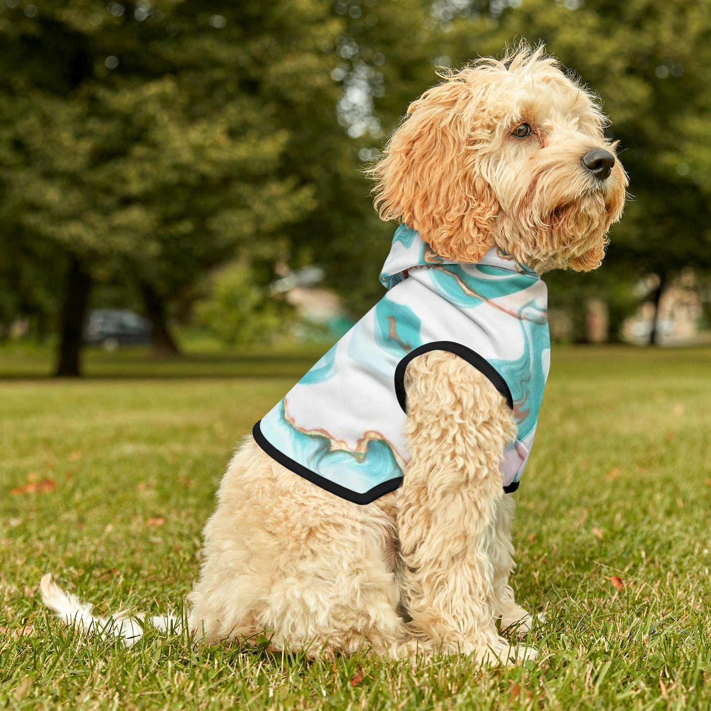 Skyline Marble | Pet Hoodie