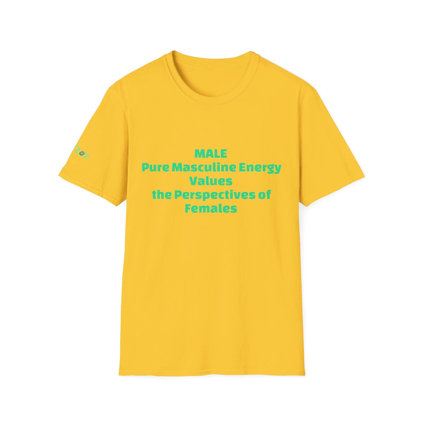 Male Pure Masculine Energy Values the Perspectives of Females | Men's T-Shirt