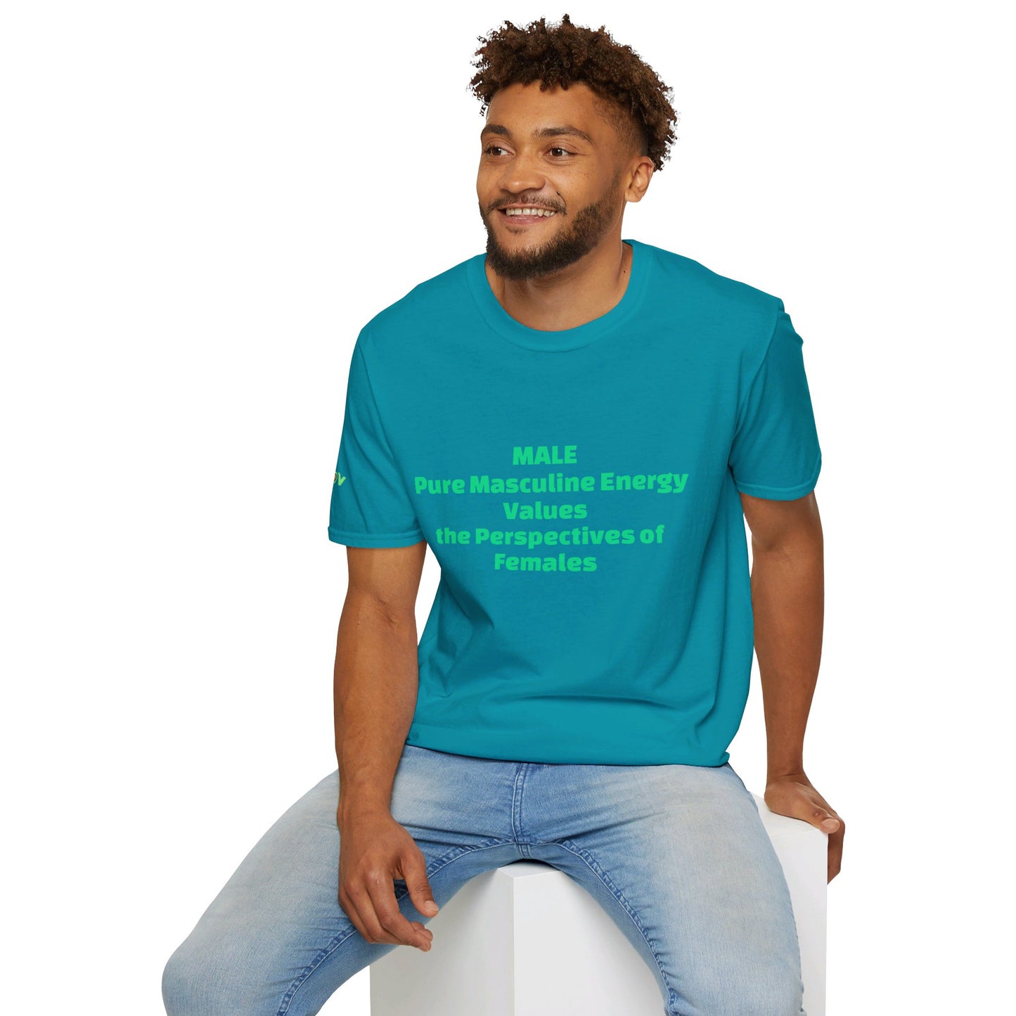 Male Pure Masculine Energy Values the Perspectives of Females | Men's T-Shirt