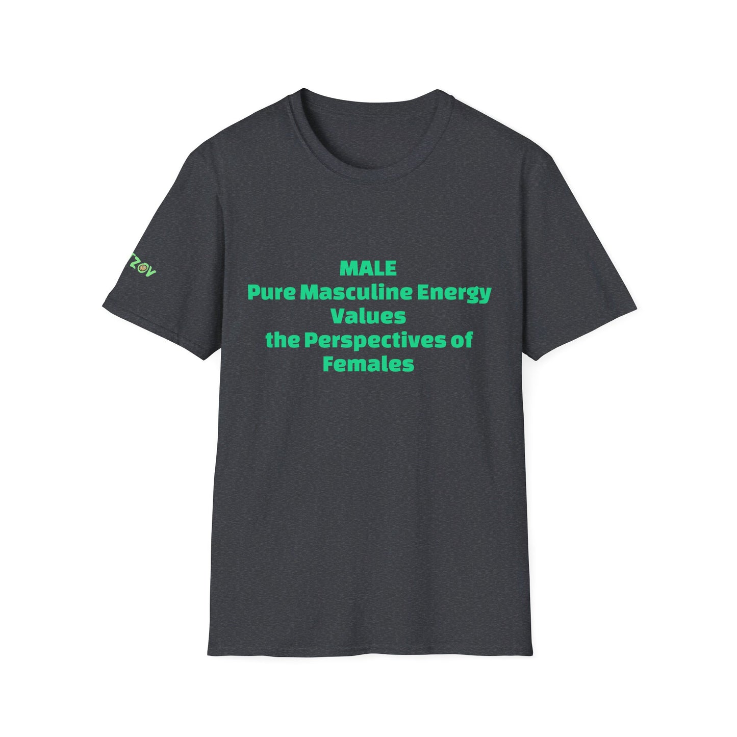 Male Pure Masculine Energy Values the Perspectives of Females | Men's T-Shirt