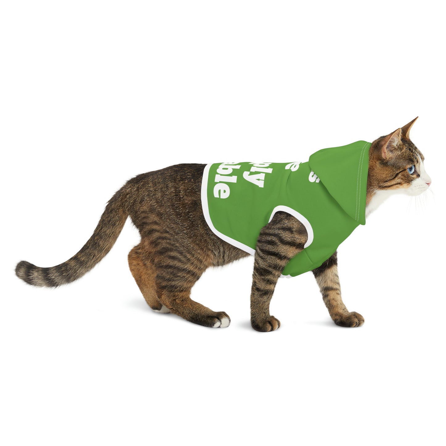 Cats are Simply Adorable | Pet Hoodie