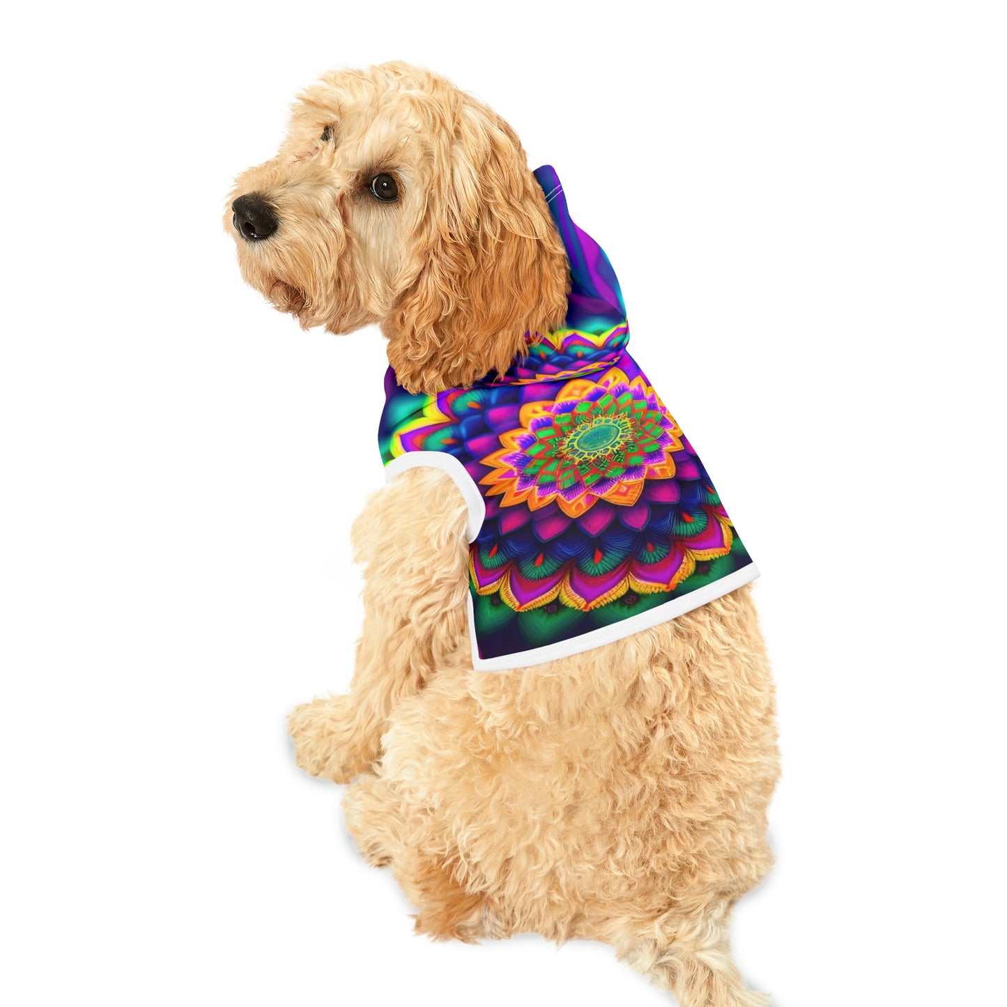 Rainbow Spiral | Pet Hoodie