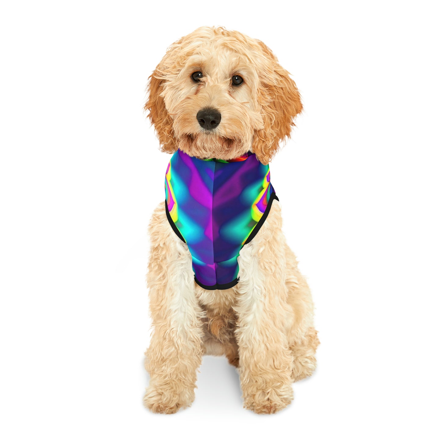 Rainbow Spiral | Pet Hoodie