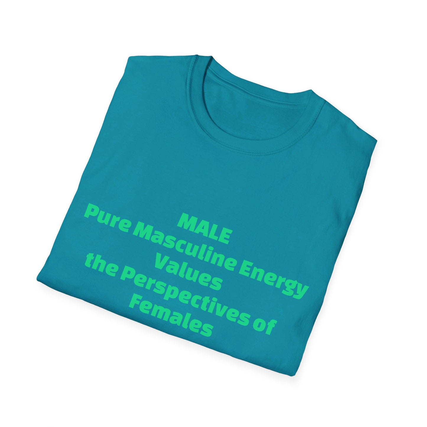 Male Pure Masculine Energy Values the Perspectives of Females | Men's T-Shirt