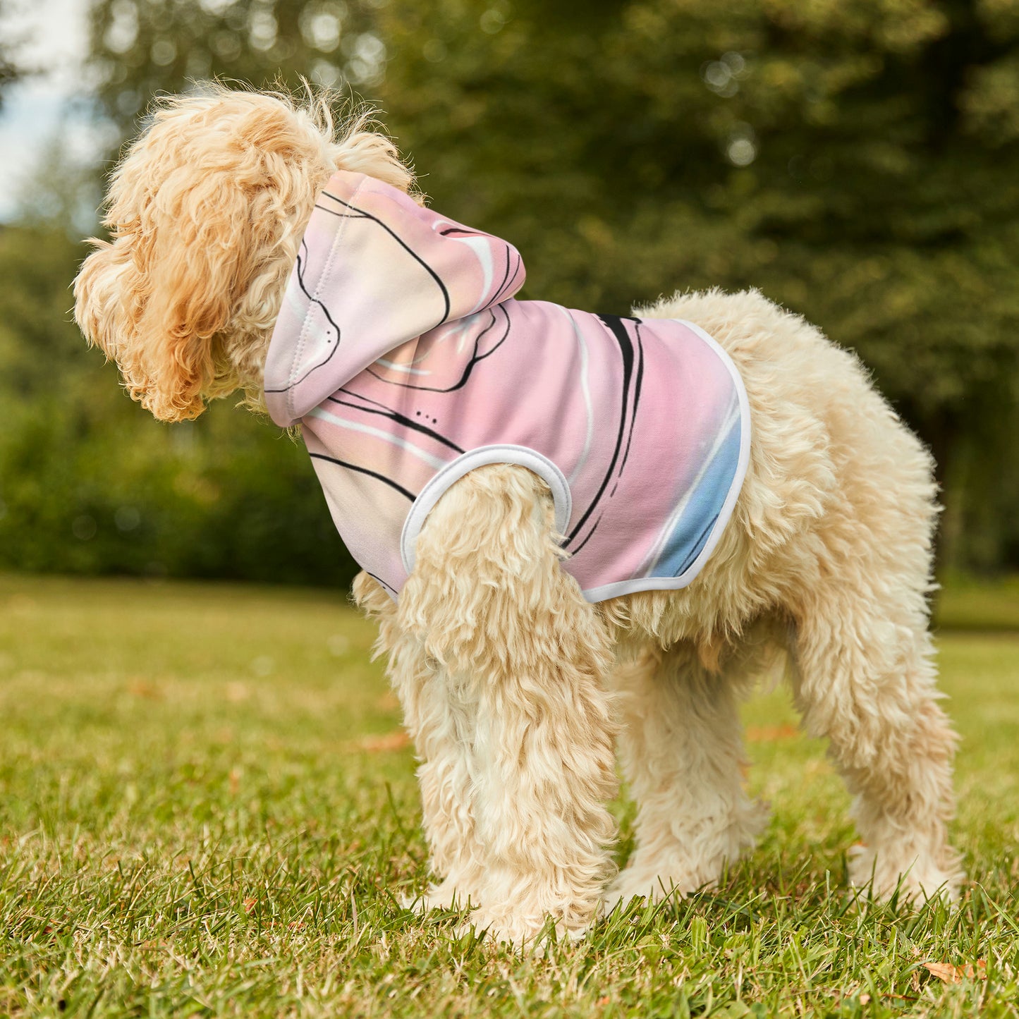 Cotton Candy Stone | Pet Hoodie