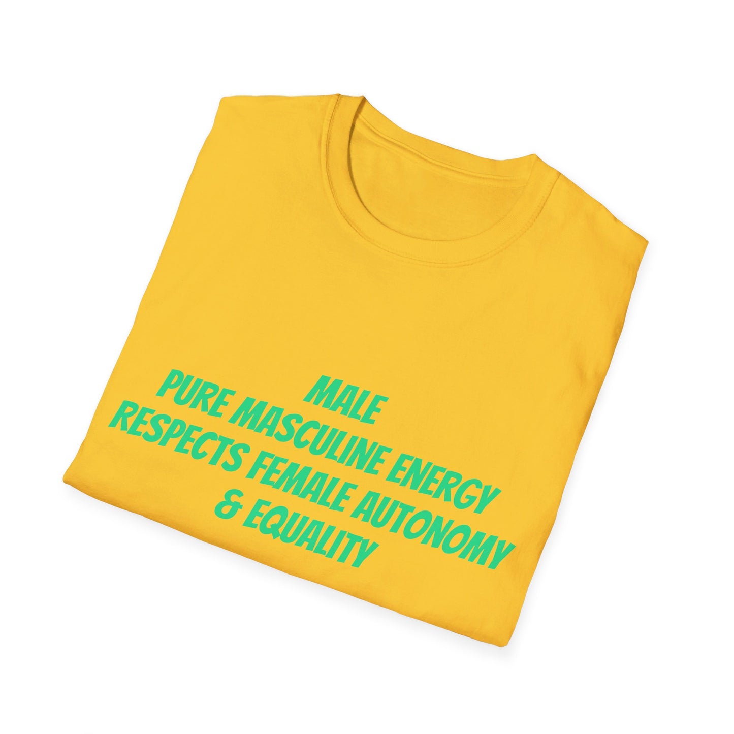 Male Pure Masculine Energy Respects Female Autonomy and Equality | Men's T-Shirt