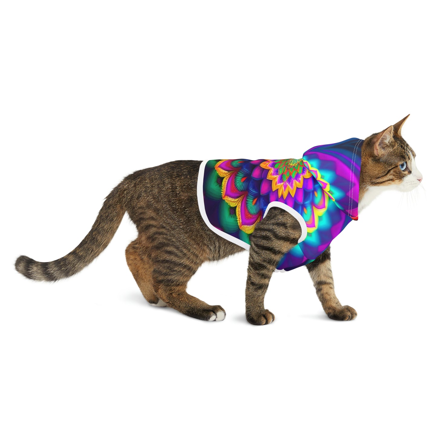 Rainbow Spiral | Pet Hoodie