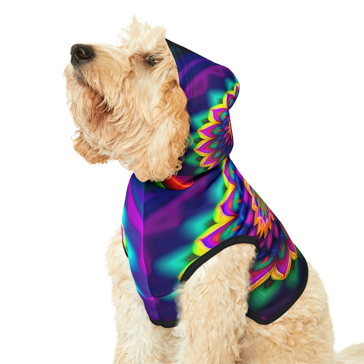 Rainbow Spiral | Pet Hoodie