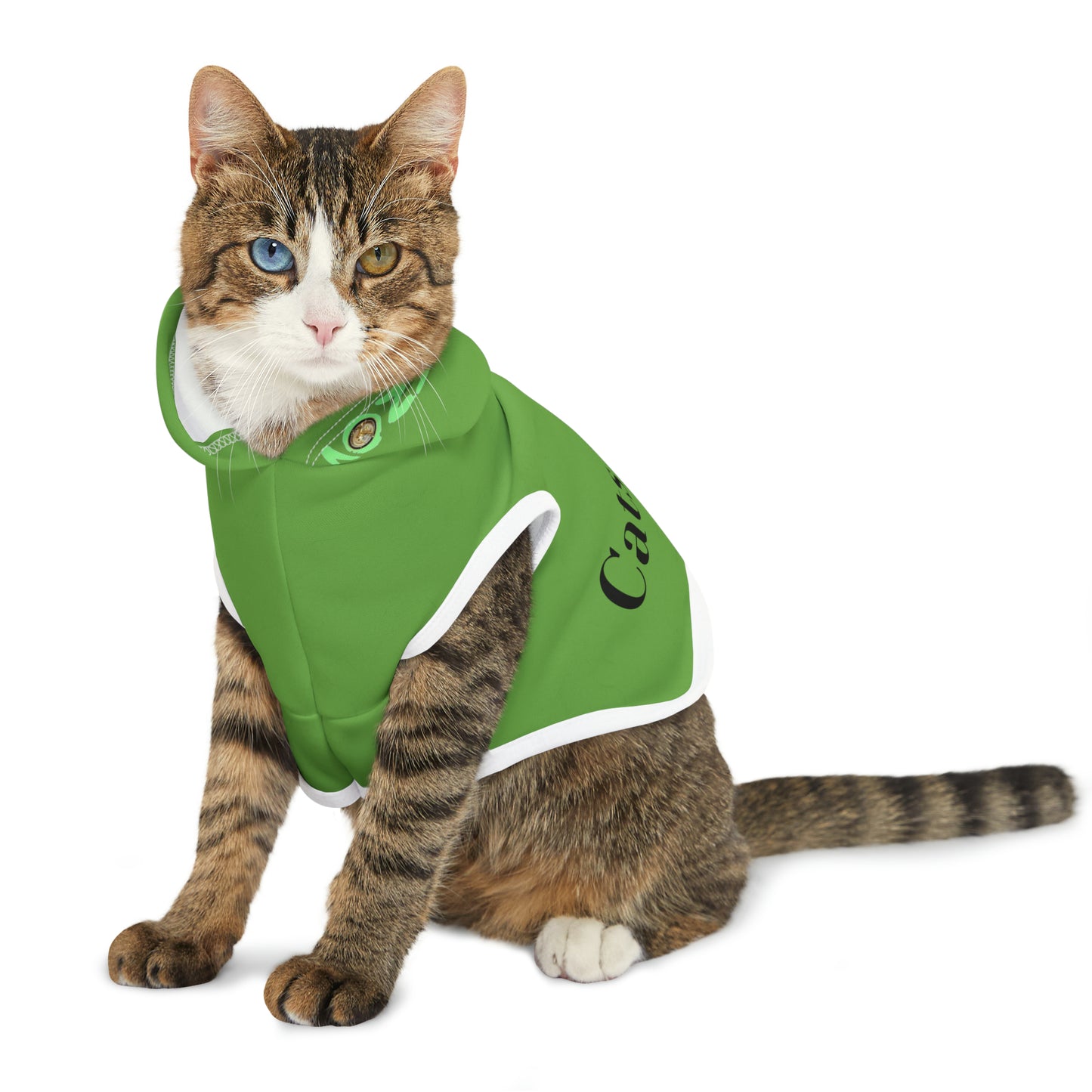 Cats Rule! | Pet Hoodie