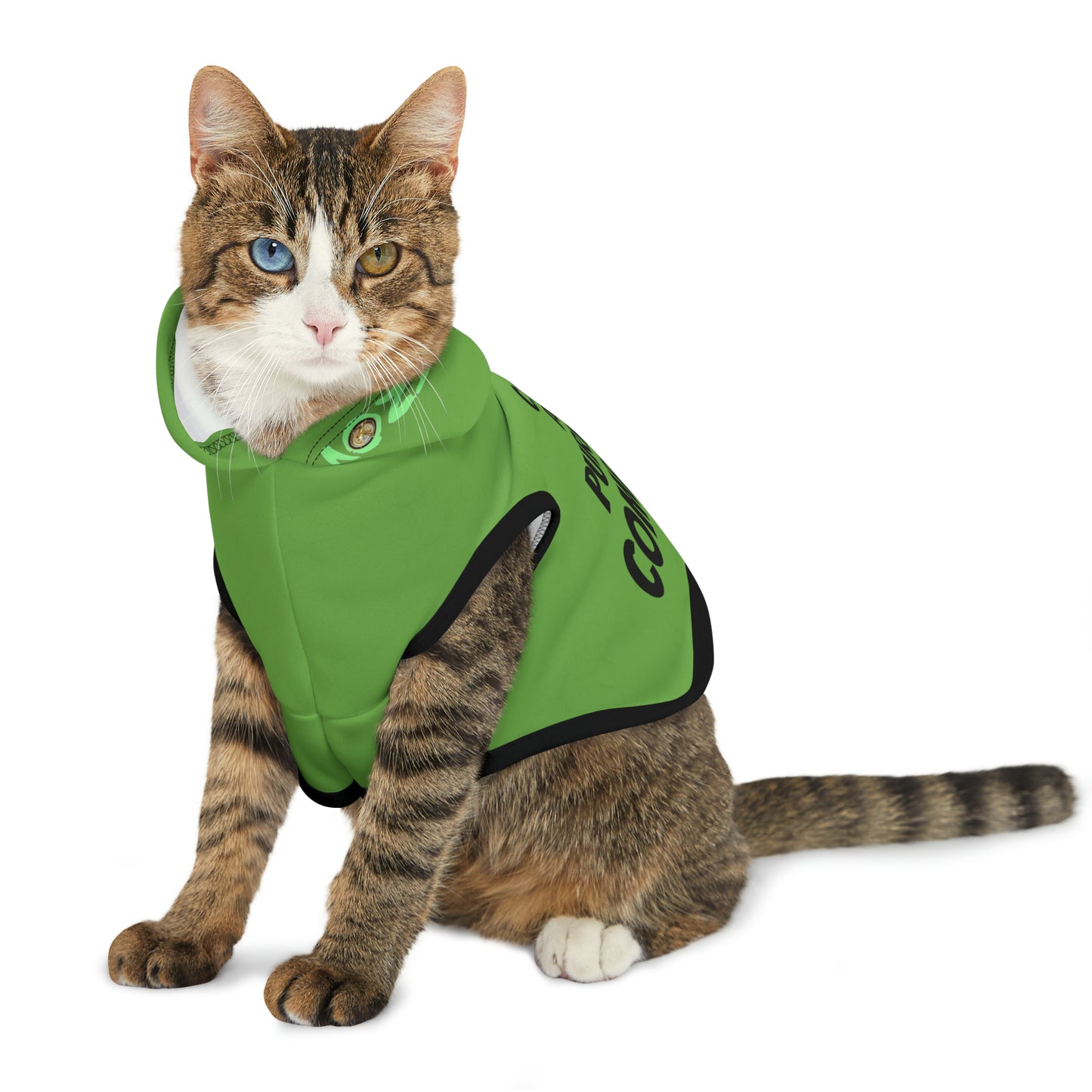 Cats are Purrfect Companions | Pet Hoodie