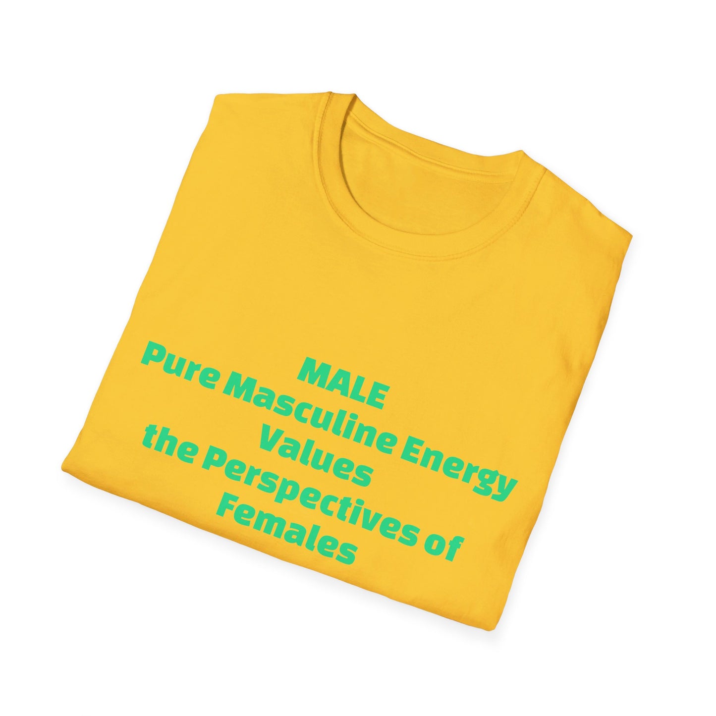 Male Pure Masculine Energy Values the Perspectives of Females | Men's T-Shirt