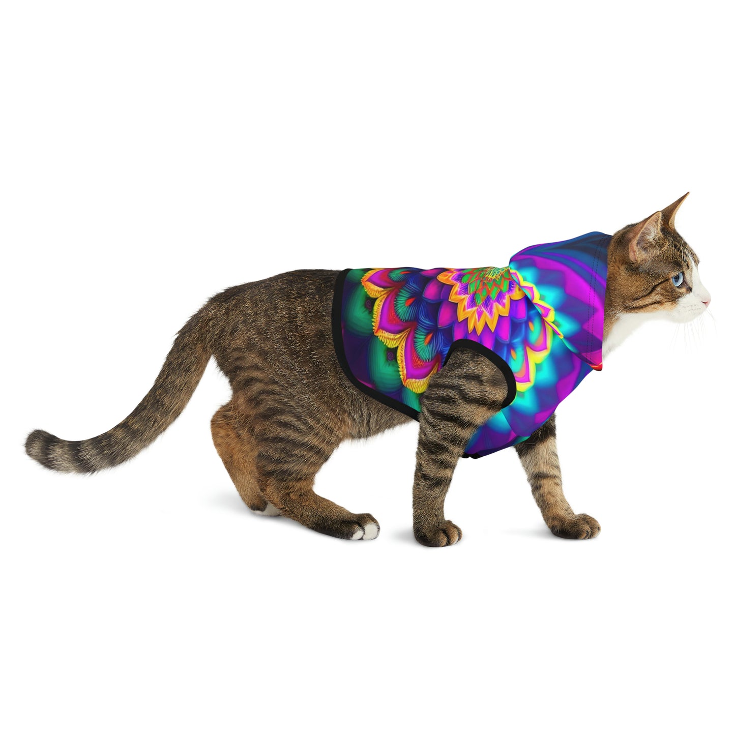 Rainbow Spiral | Pet Hoodie