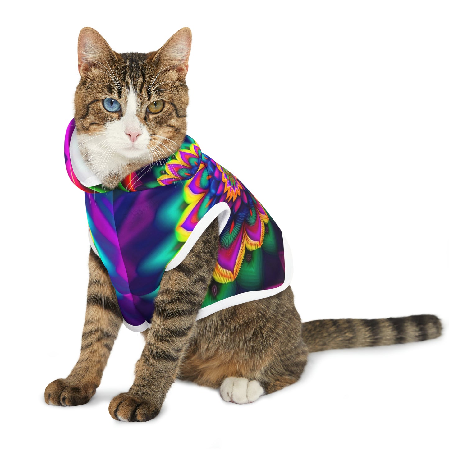 Rainbow Spiral | Pet Hoodie