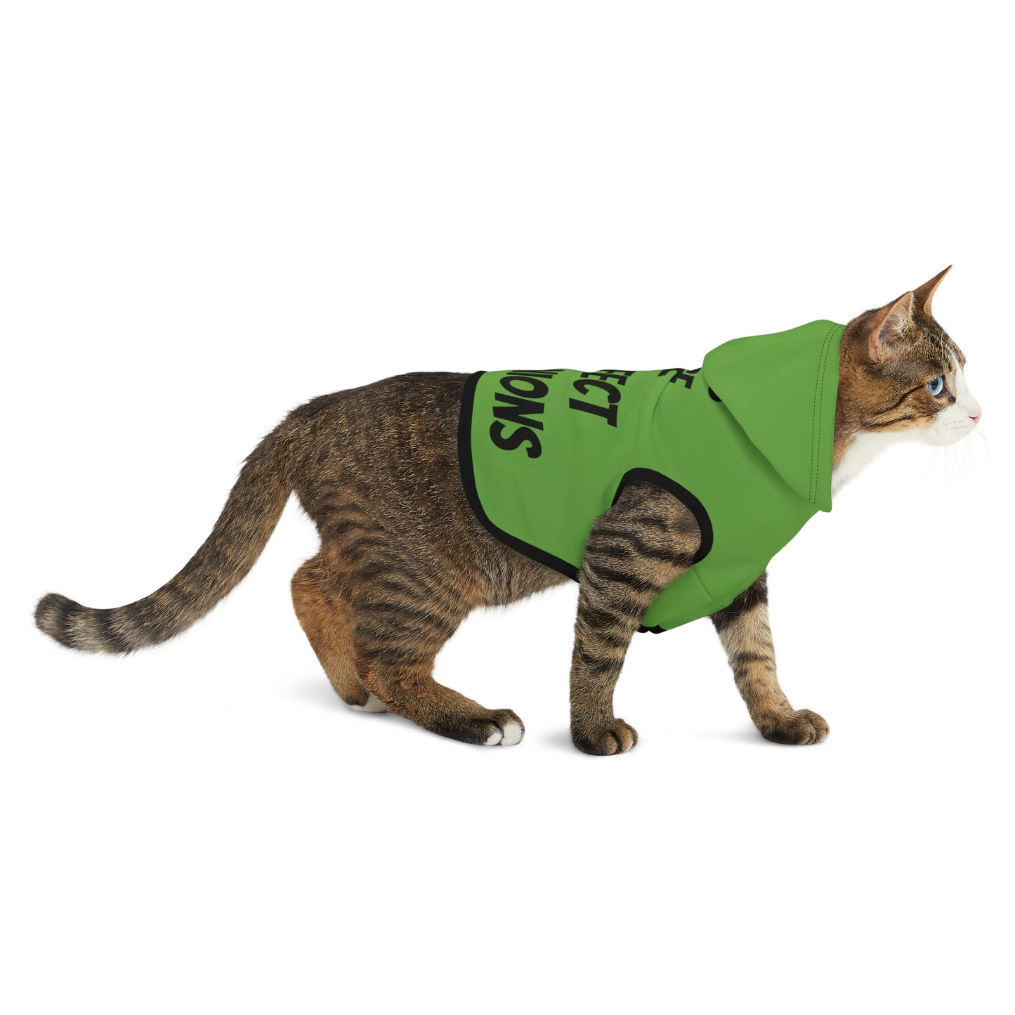 Cats are Purrfect Companions | Pet Hoodie