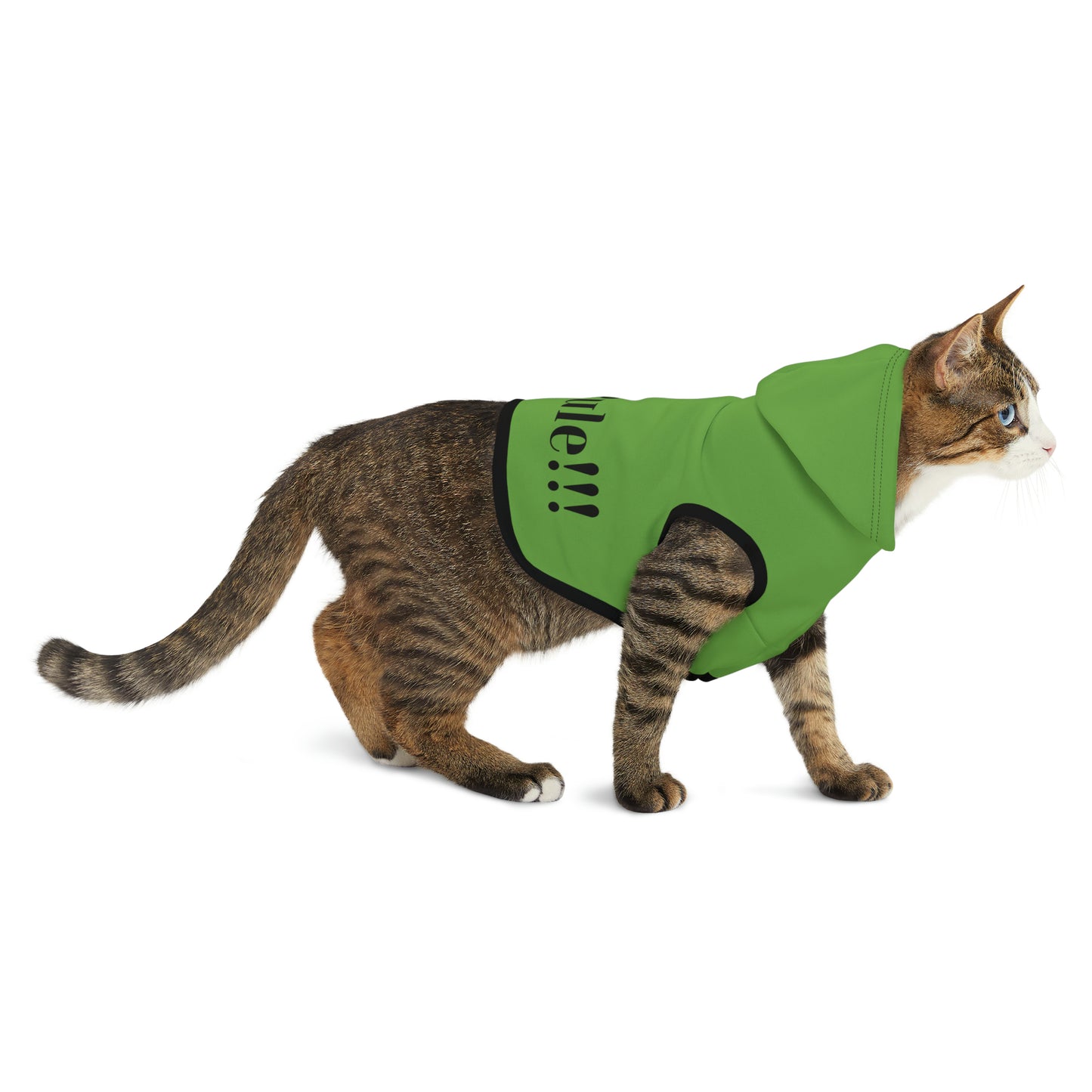 Cats Rule! | Pet Hoodie