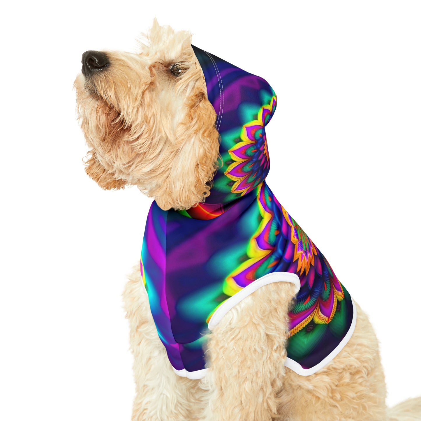 Rainbow Spiral | Pet Hoodie