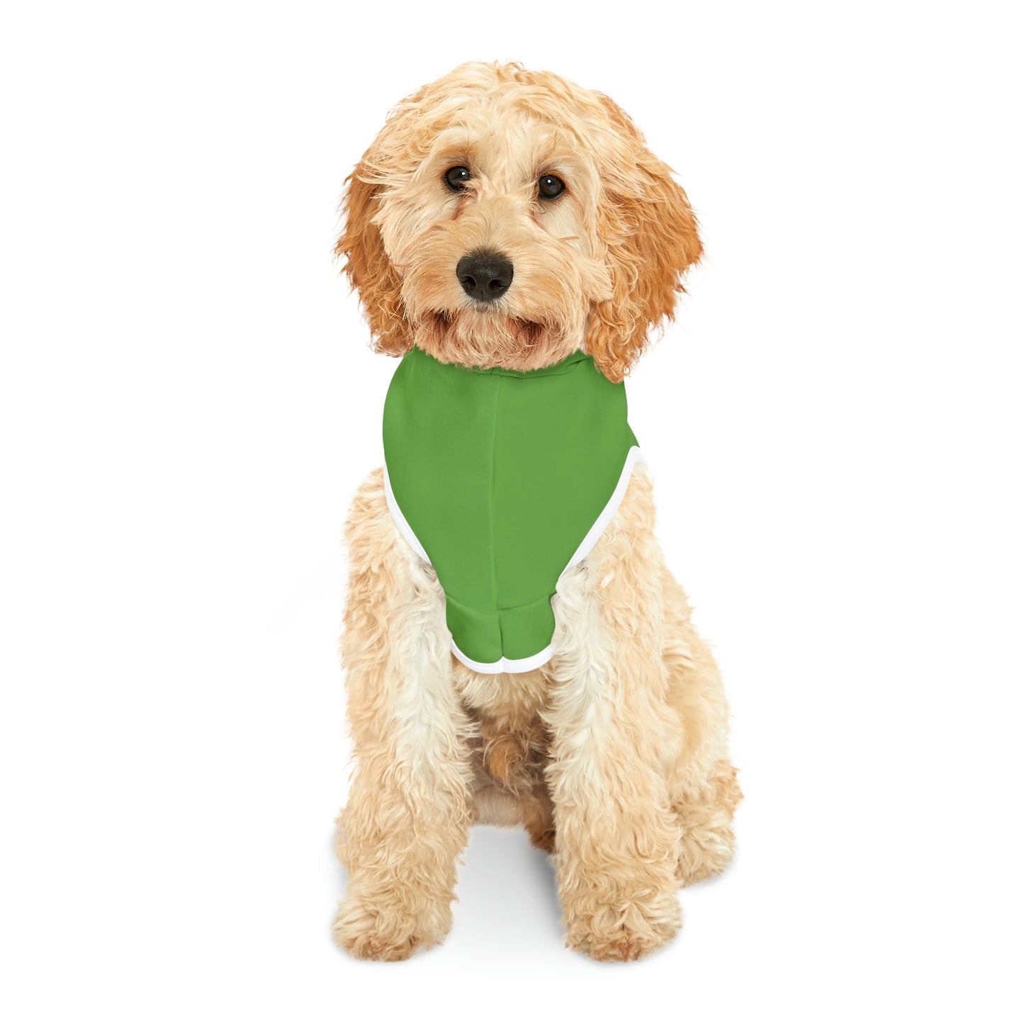 I woof you to the Moon and Back | Pet Hoodie