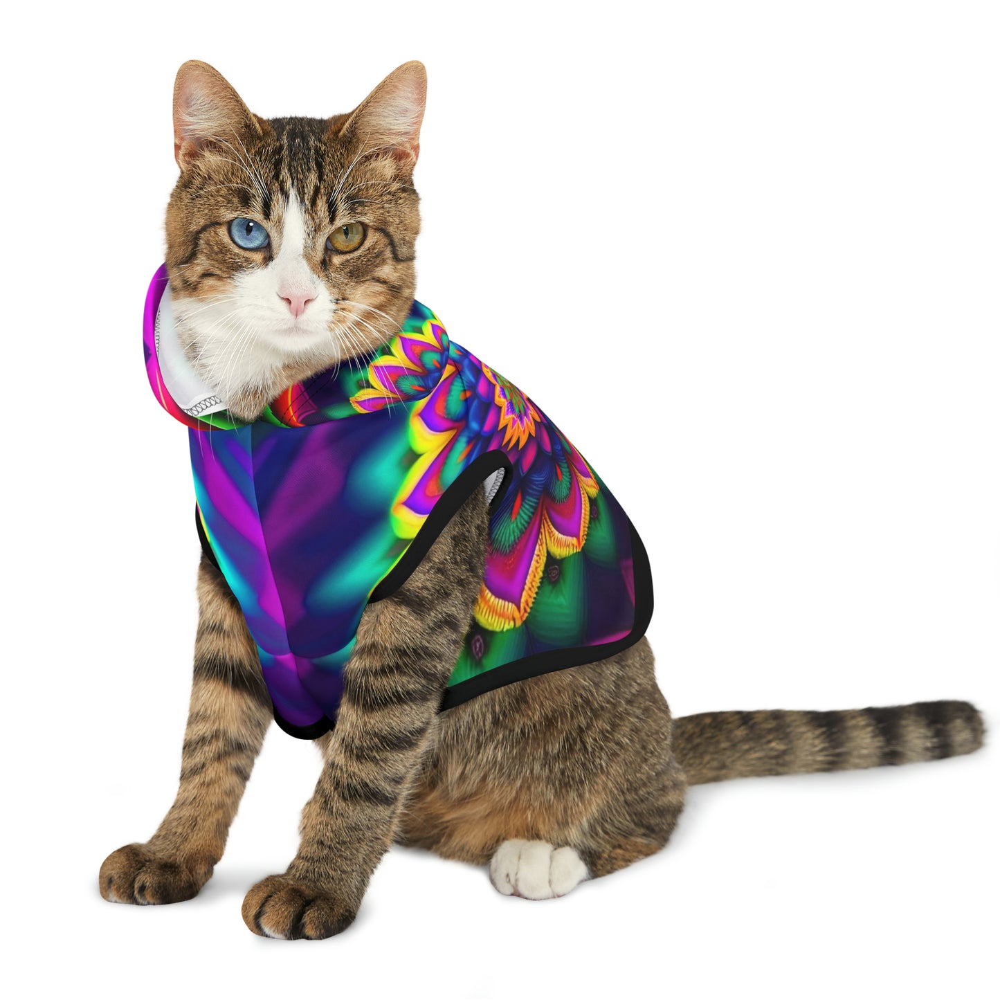 Rainbow Spiral | Pet Hoodie