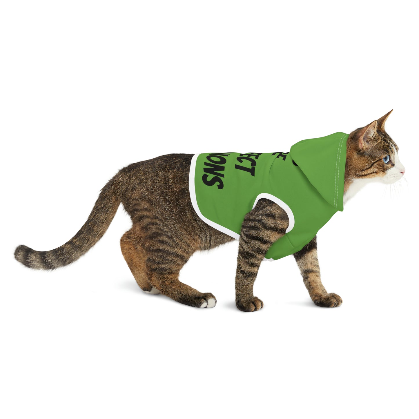 Cats are Purrfect Companions | Pet Hoodie