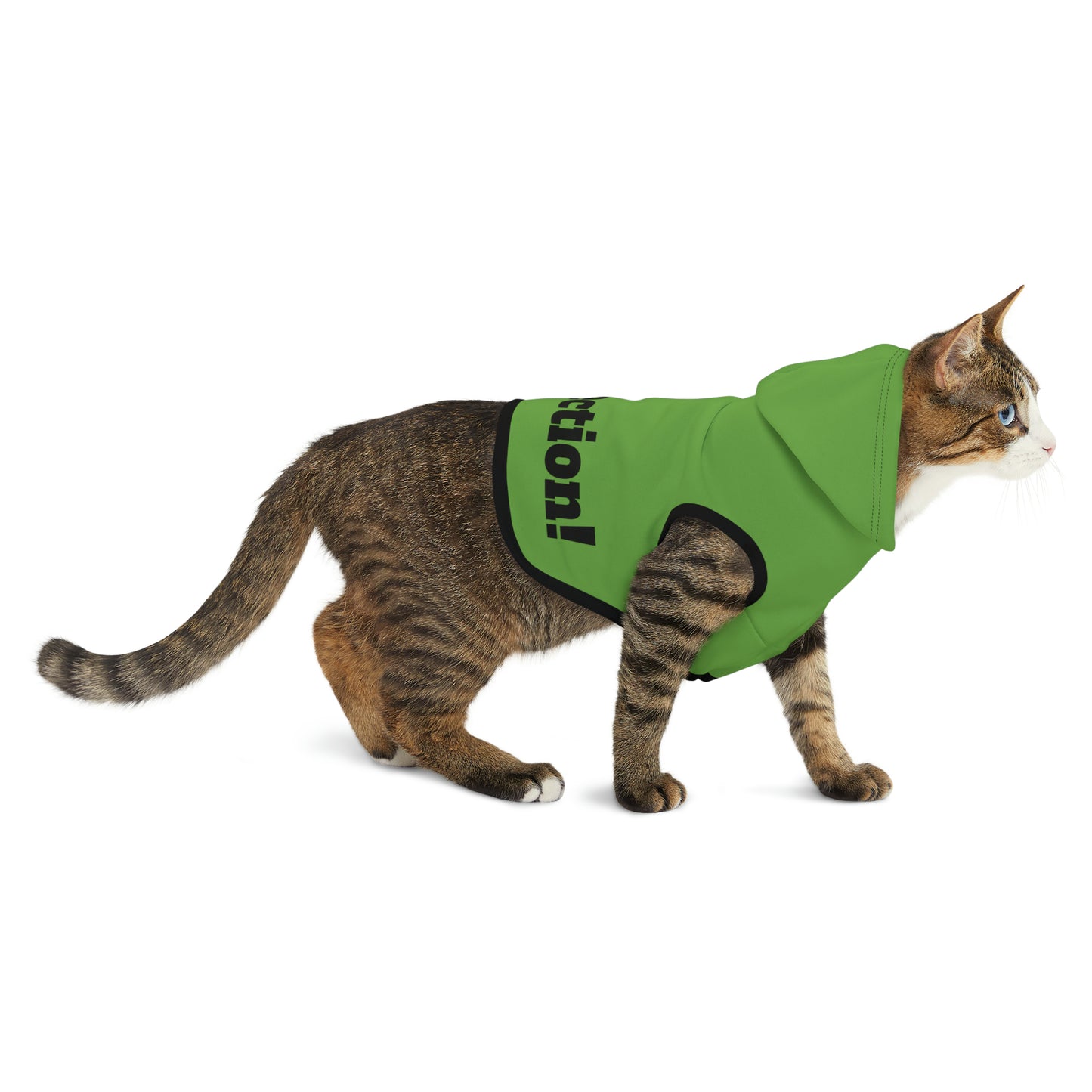 Purr-fection!! | Pet Hoodie