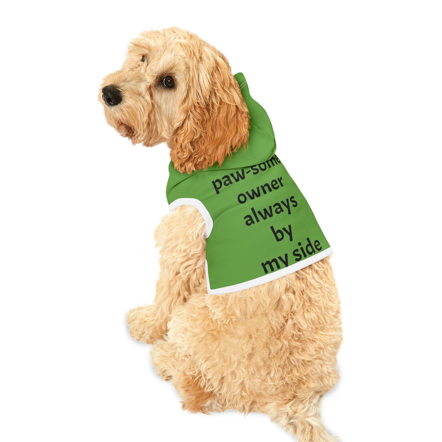 My paw-some owner, always by my side | Pet Hoodie